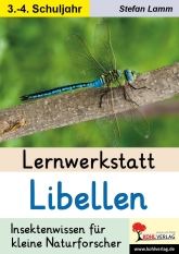 Sachunterricht Kopiervorlagen. Arbeitsblätter Grundschule