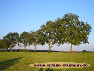 Starkholzbacher See in Erlenhof. Seen in Baden-Württemberg