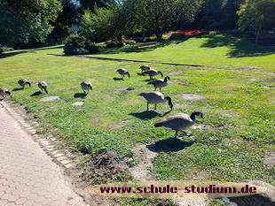 Weiher Saarbrücken im Deutsch-Französischen Garten. Seen im Saarland