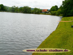 Mühlenweiher Saarbacherhammer zwischen Fischbach und Ludwigswinkel