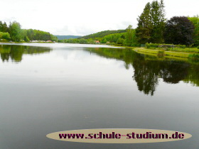 Mühlenweiher Saarbacherhammer zwischen Fischbach und Ludwigswinkel