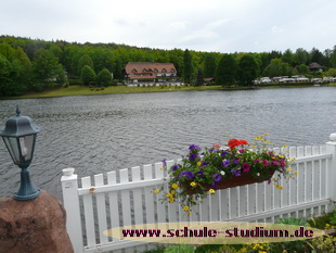 Mühlenweiher Saarbacherhammer zwischen Fischbach und Ludwigswinkel