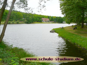 Mühlenweiher Saarbacherhammer zwischen Fischbach und Ludwigswinkel