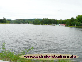 Mühlenweiher Saarbacherhammer zwischen Fischbach und Ludwigswinkel