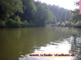 Schwanenweiher am Kurpark