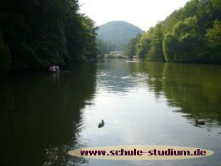 Schwanenweiher am Kurpark