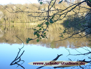 Immerather Maar in der Vulkaneifel