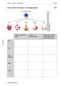 Biologie Unterrichtsmaterial