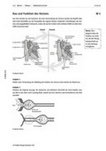 Biologie Unterrichtsmaterial