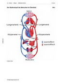 Biologie Unterrichtsmaterial