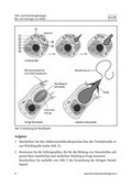 Biologie Unterrichtsmaterial