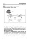 Biologie Unterrichtsmaterial