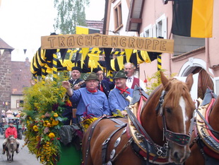 Purzelmarkt Umzug Billigheim-Ingenheim