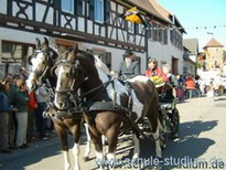 Billigheimer Purzelmarkt, Bilder vom  18.09.05