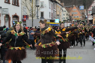 Faschingsumzug in Dahn (Pfalz)