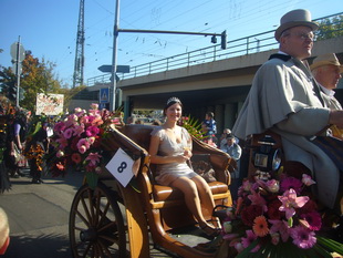 Winzerfestumzug in Neustadt/Weinstrae 2008