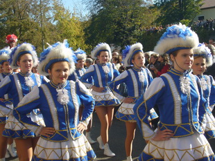 Winzerfestumzug in Neustadt/Weinstrae 2008