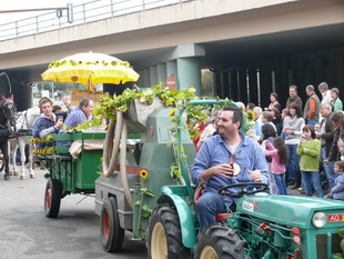 Winzerfestumzug in Neustadt/Weinstrae 2008