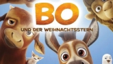 Bo und der Weihnachtsstern