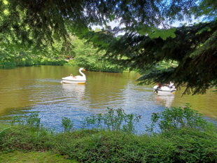 Kurpfalz Park in Wachenheim 2024