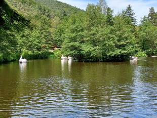 Kurpfalz Park in Wachenheim 2024