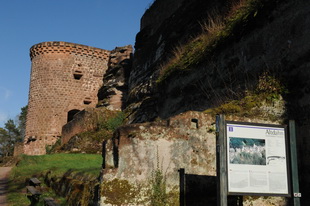 Die Burgruine Altdahn (Südwestpfalz)