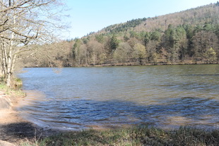 Der Seehof unterhalb der Burg Bewartstein (Südwestpfalz)