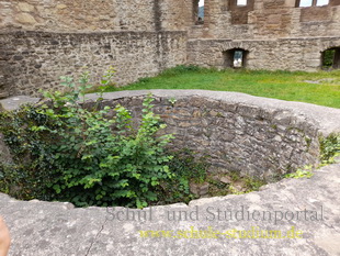 Die Burg/Burgruine Lichtenberg (Landkreis Kusel in Rheinland-Pfalz)