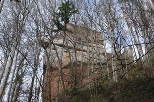 Die Burg Spangenberg (Pfalz)