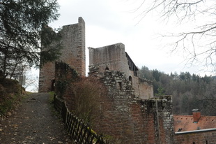 Die Burg Spangenberg (Pfalz)