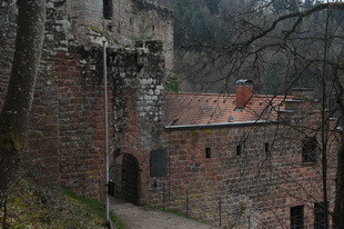 Die Burg Spangenberg (Pfalz)