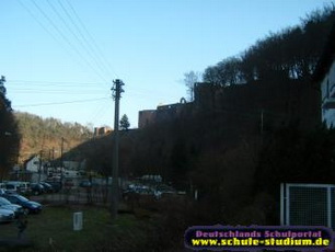 Die Hardenburg  in  Bad Dürkheim