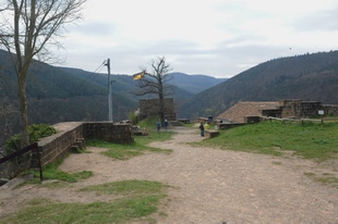 Die Burg(-ruine) Wolfsburg