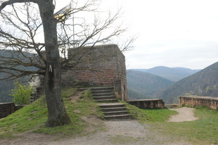 Die Burg(-ruine) Wolfsburg