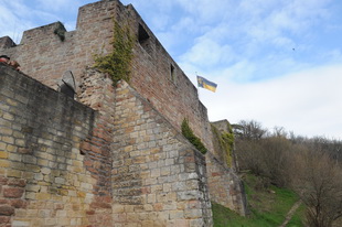 Die Burg(-ruine) Wolfsburg