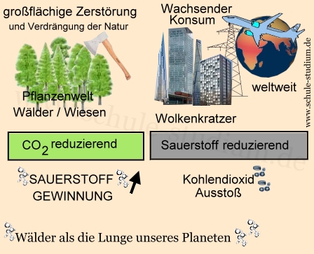 Klima in Gefahr - Pflanzenwelt in Gefahr