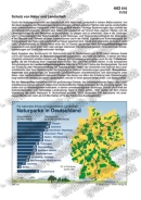 Schaubilder Wirtschaft und Politik